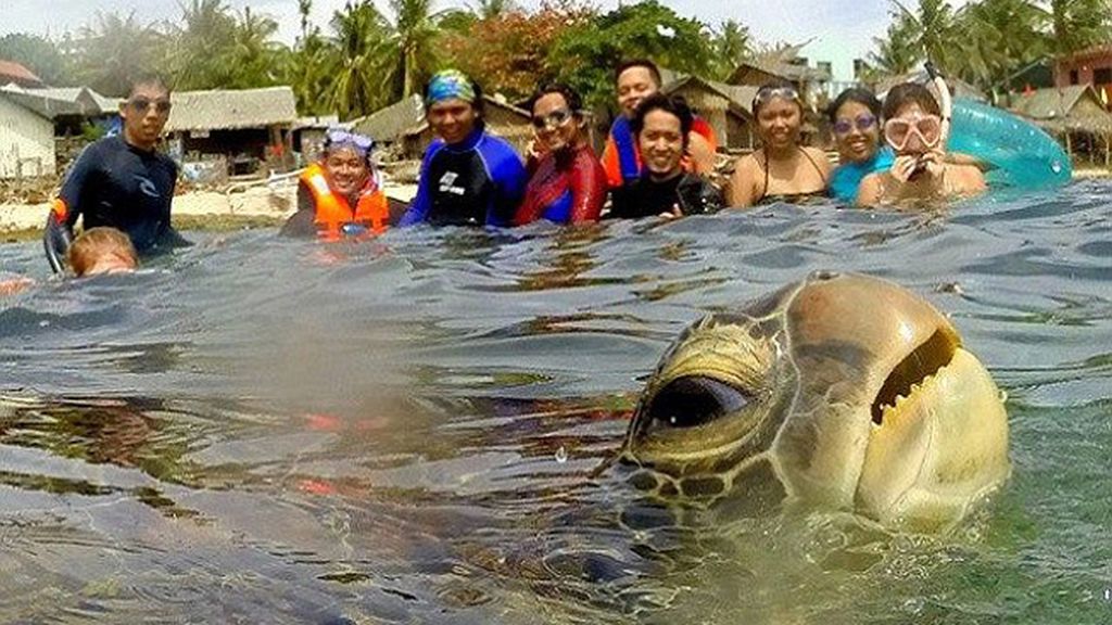 Una foto normal se convierte en una imagen increíble gracias a un ‘intruso’