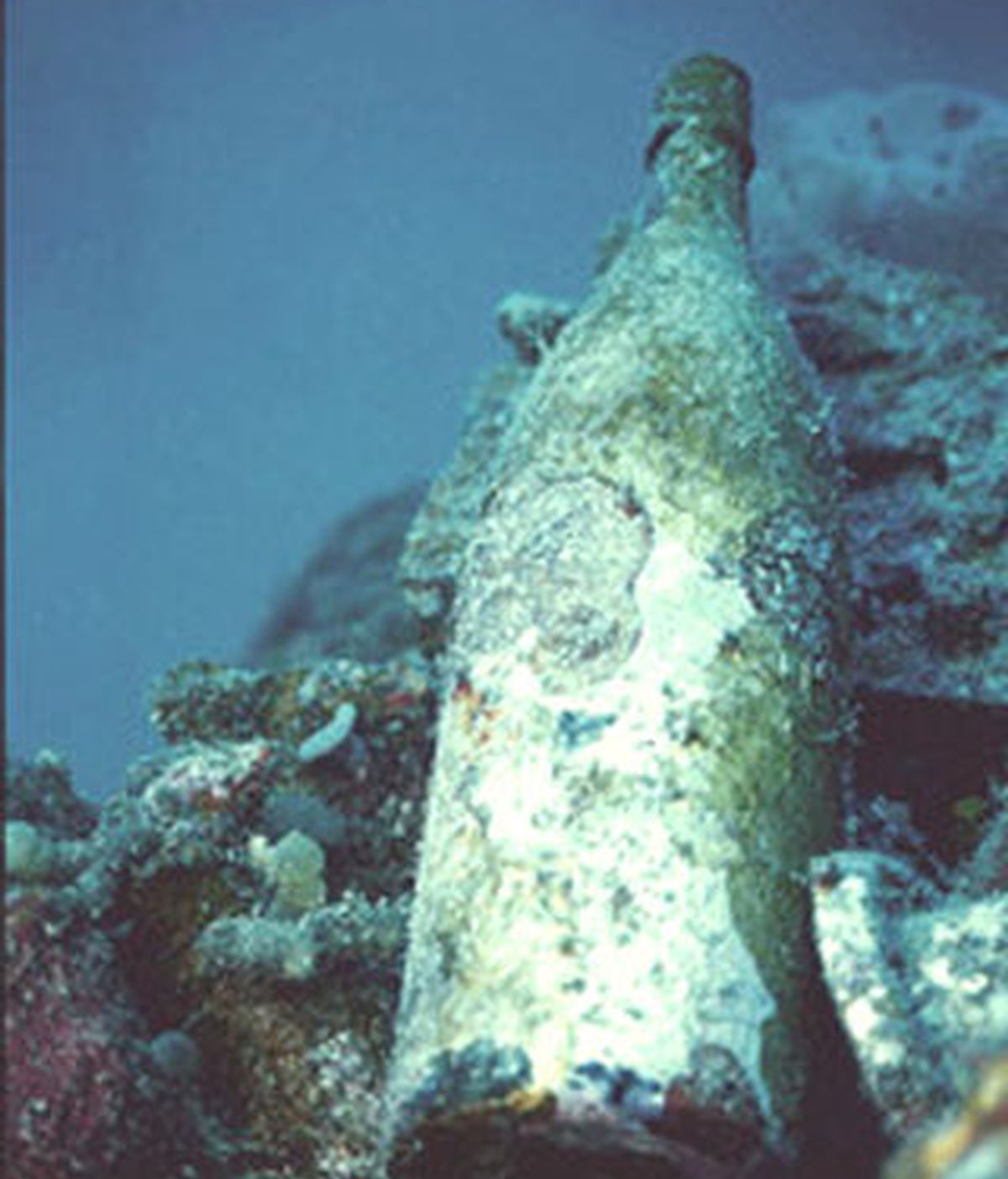 Imagen de una bitella hallada en el fondo del mar. Foto: BBC