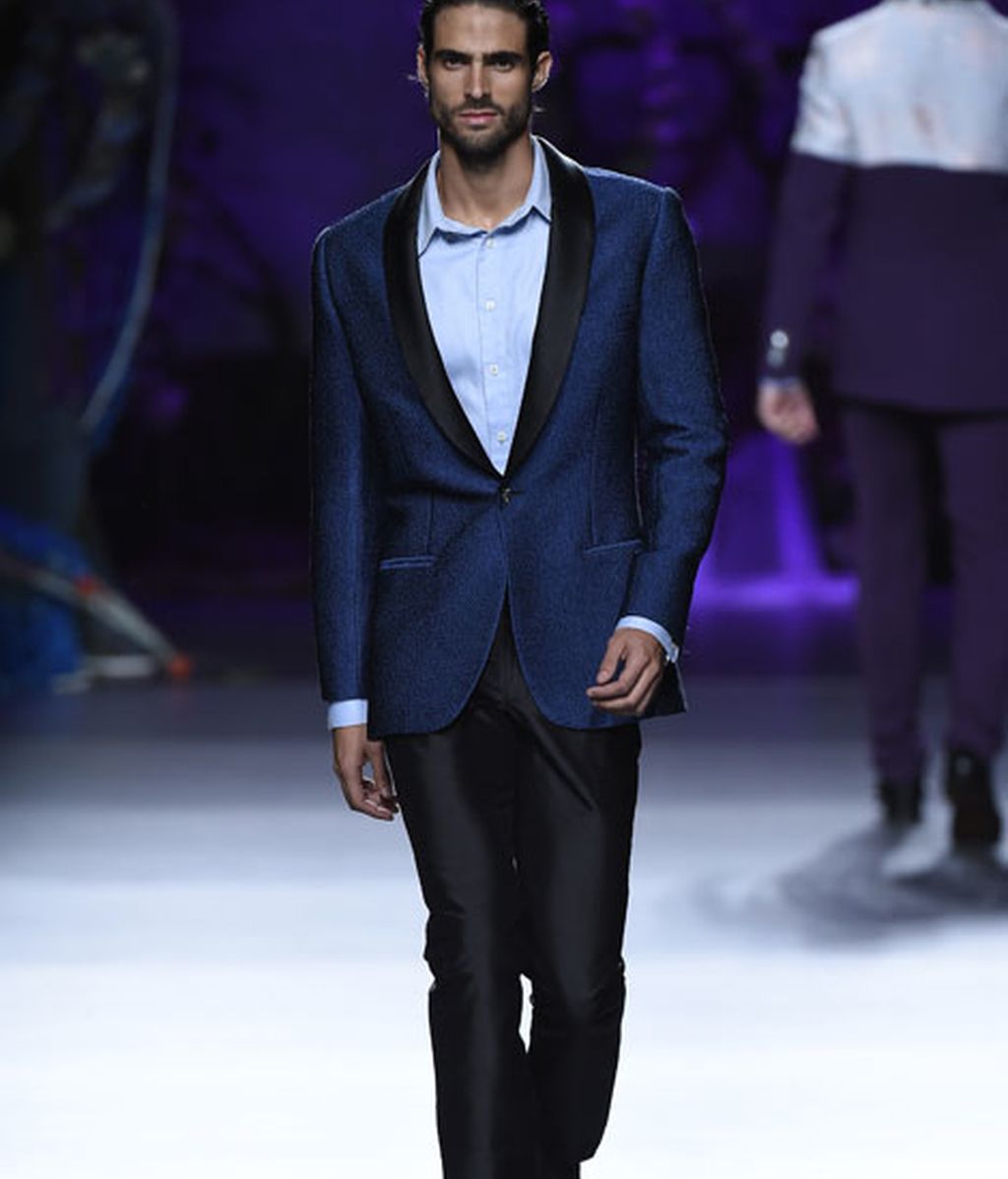 Corales, estrellas y esponjas de mar