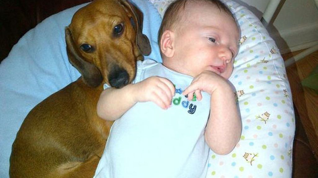 Compañeros para todo