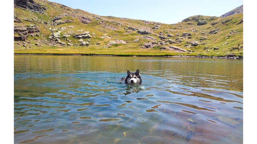 A Lorena Vázquez...