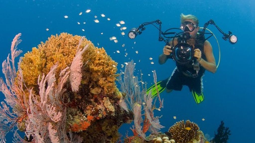 Nadando entre medusas