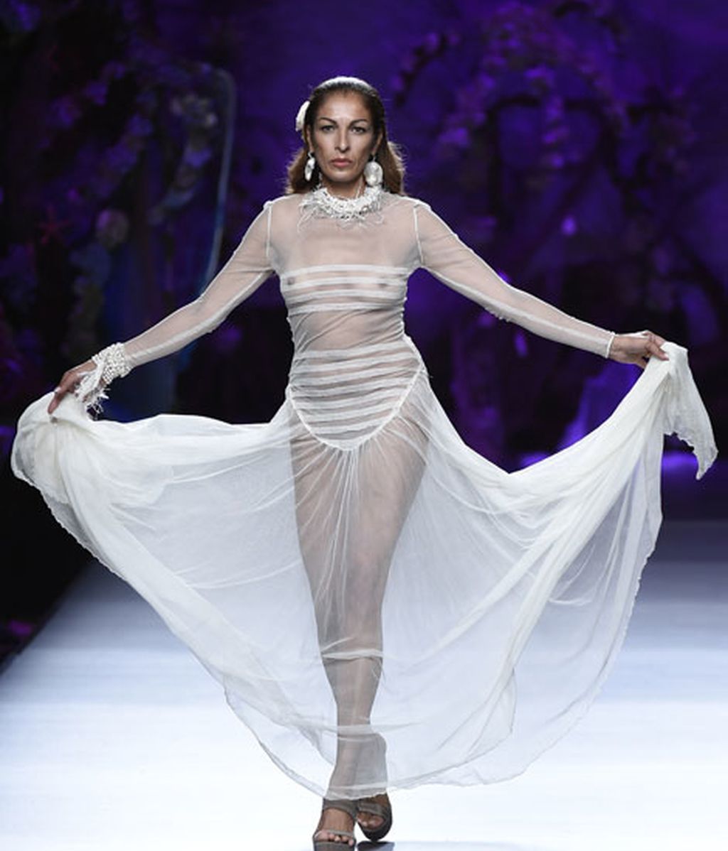 Corales, estrellas y esponjas de mar