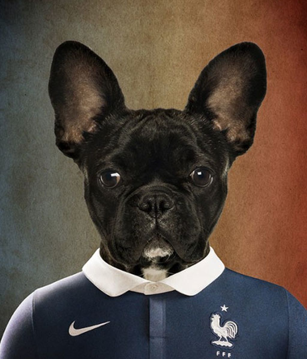 Los perros y el fútbol