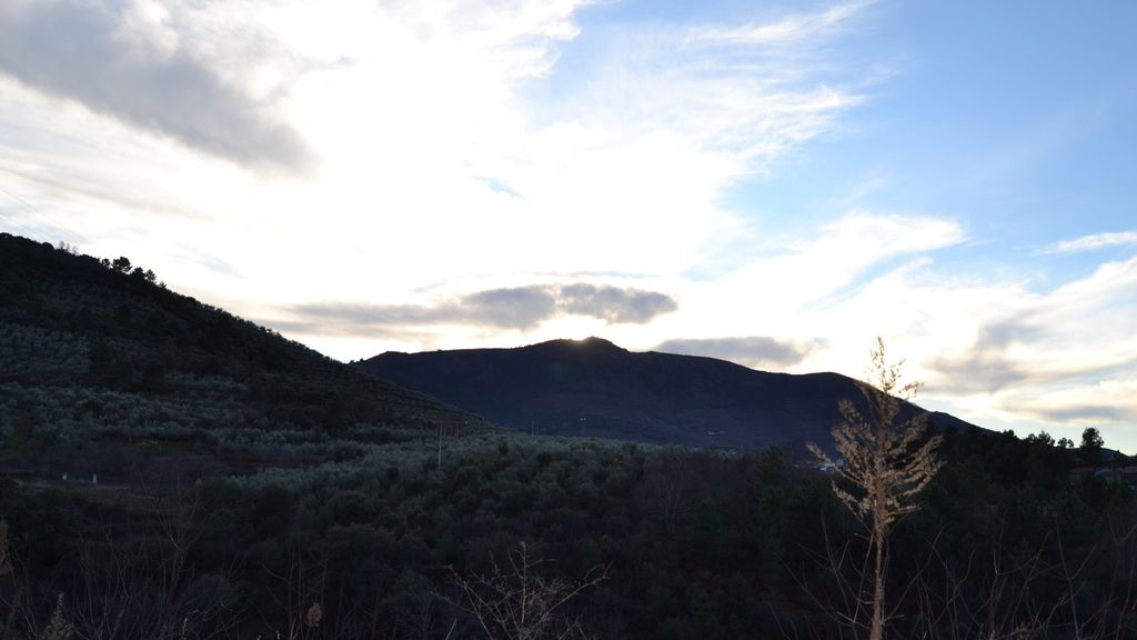 Concursantes Efecto ¡GUAU!... de tu vida