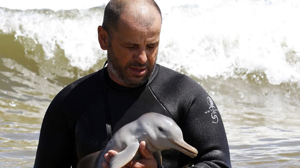 Rescatan a un bebé delfín en Uruguay