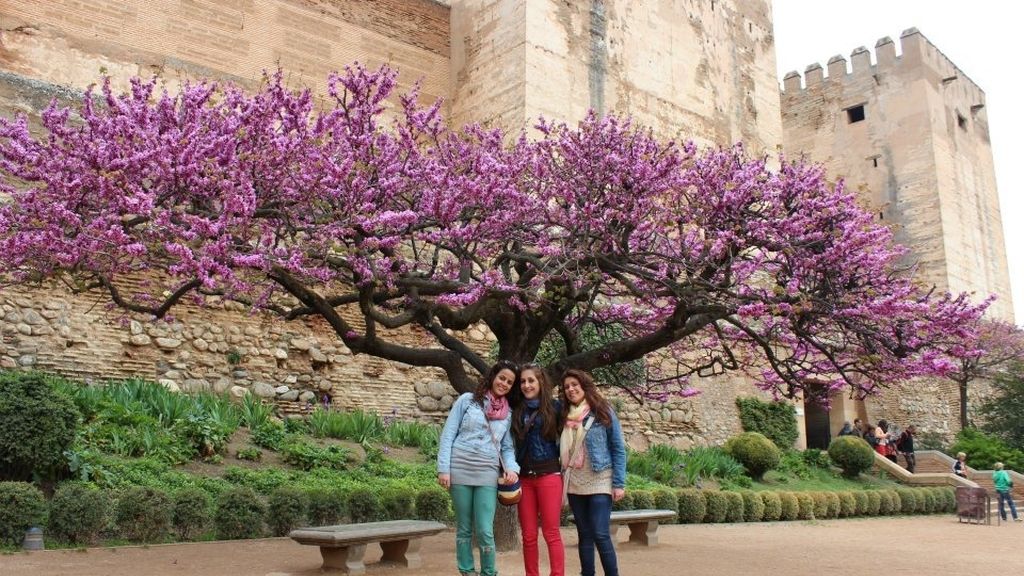 Concursantes Efecto ¡GUAU!... de tu vida