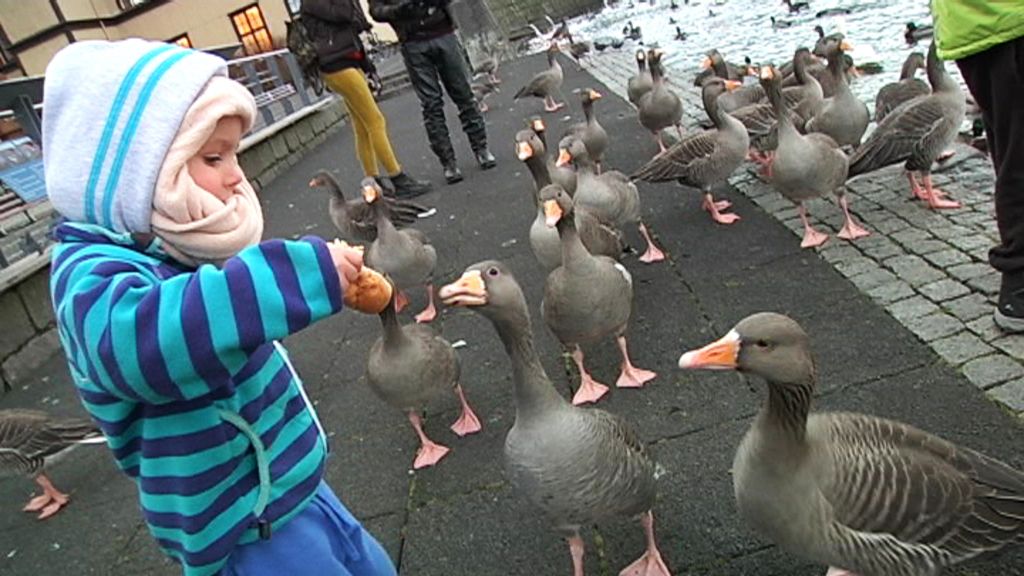 Las mejores fotos de una 'Boda en Islandia'
