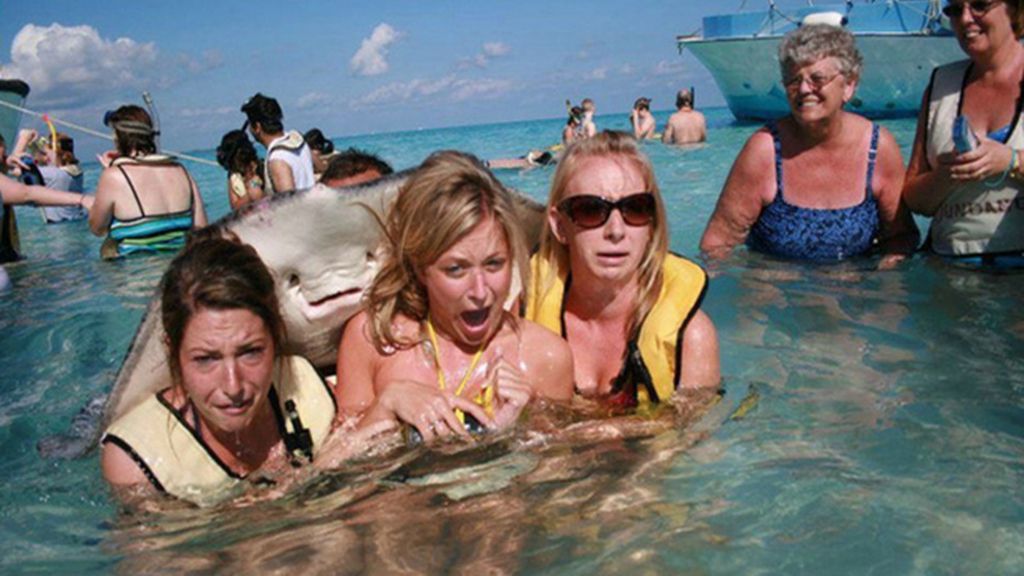 Una foto normal se convierte en una imagen increíble gracias a un ‘intruso’
