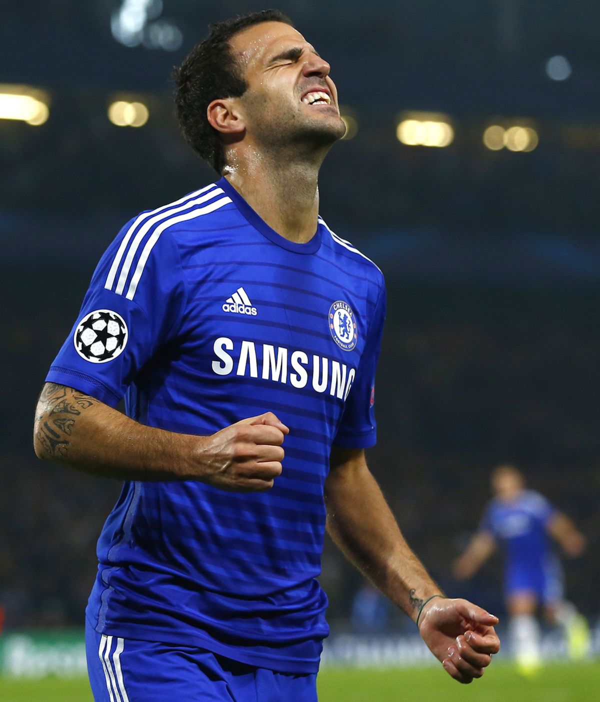 cesc cesc