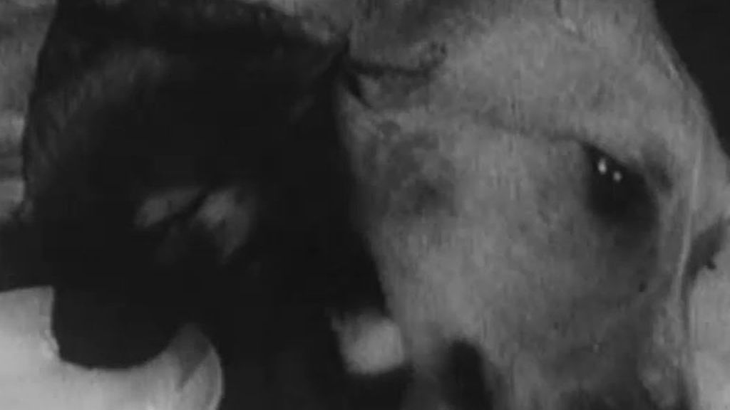 Fotogalería del programa T07xP26