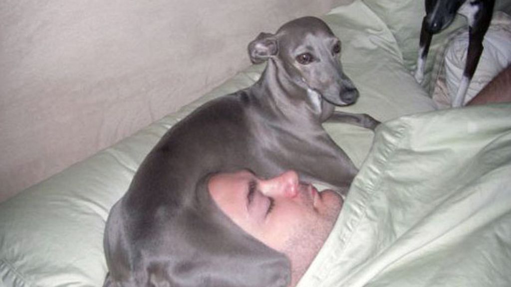 Mi mascota preferida y yo