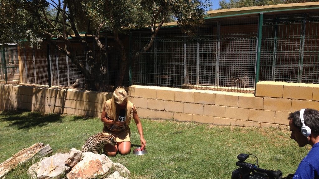 Entre fauna, felinos y... motos