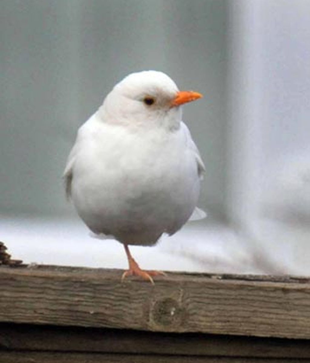 Una agradable sorpresa