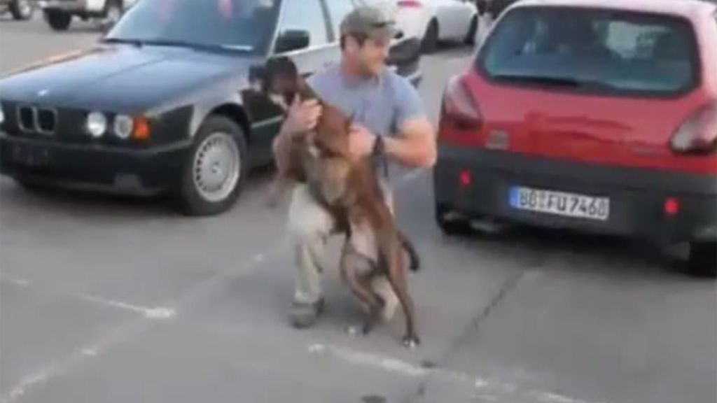 Soldados y perros