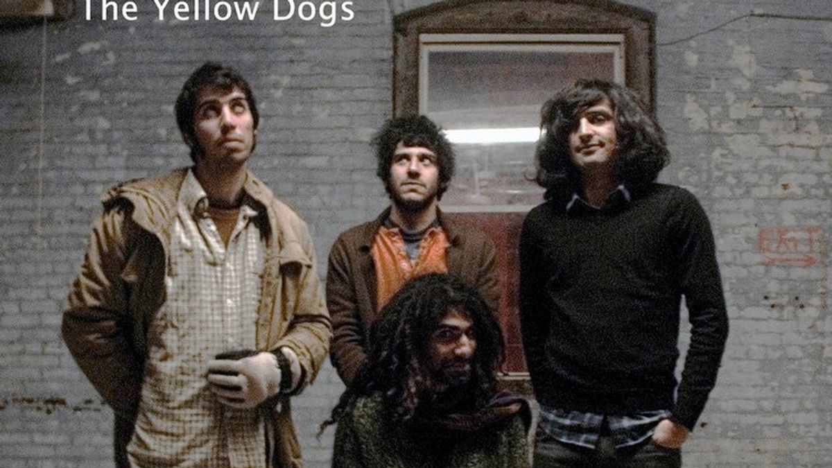 The Yellow Dogs