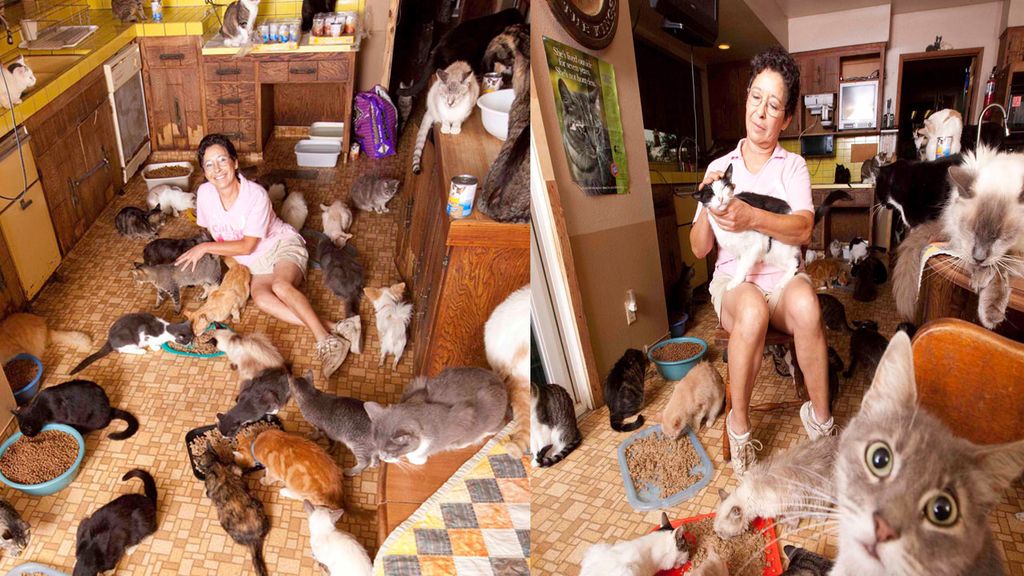 'The Lady with 700 Cats'