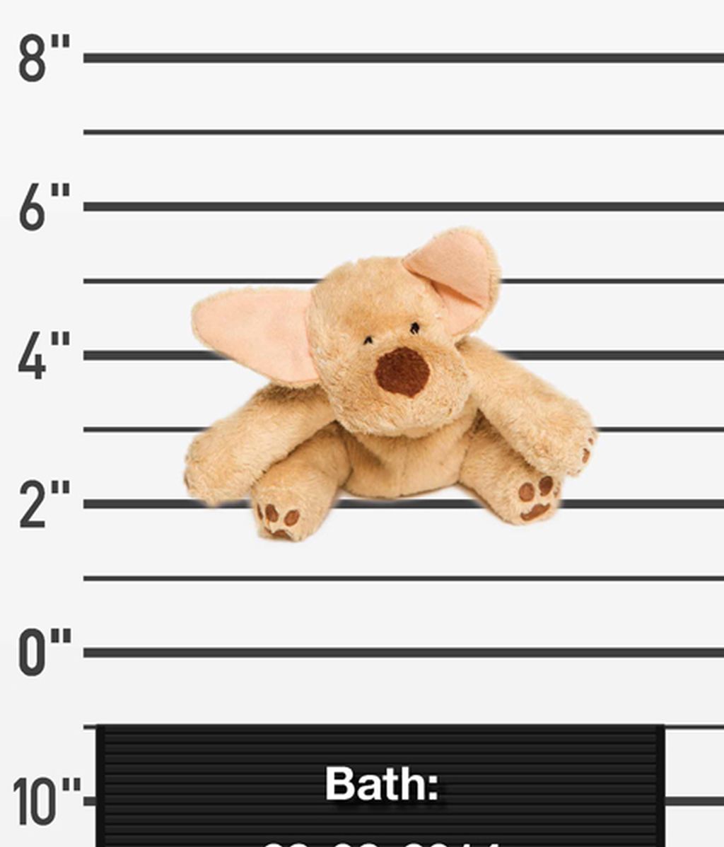 Peluches perdidos buscan a sus dueños