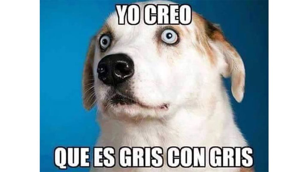 ¿De qué color es el vestido, blanco y dorado o negro y azul?