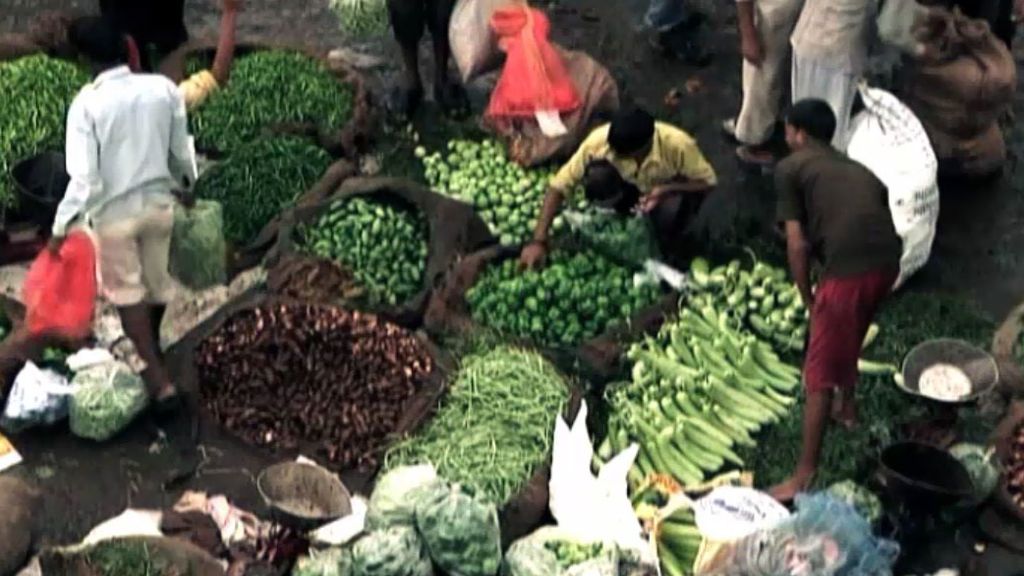 Transgénicos y otros alimentos bajo sospecha