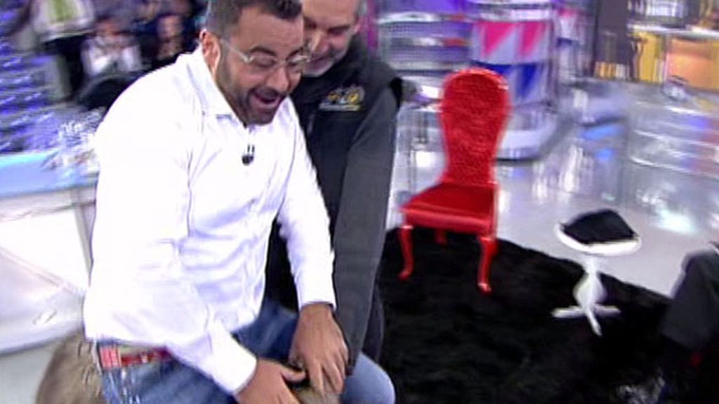 Chiqui entra en plató a lomos de un poni y Jorge Javier le imita