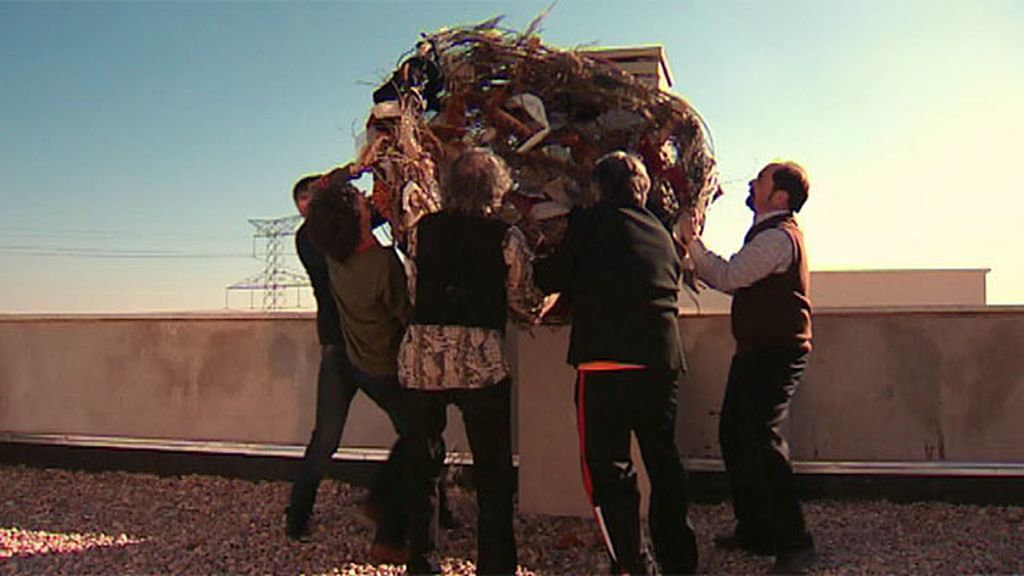 Coque, pionero del aire