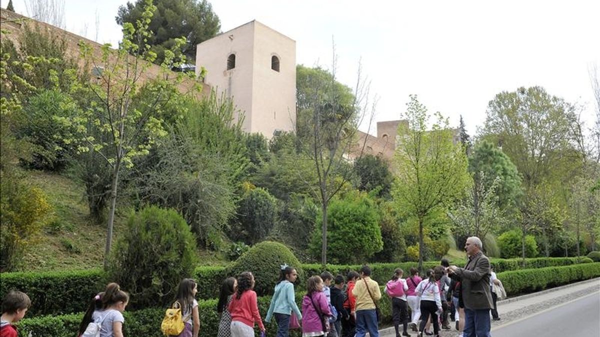 El bosque de la Alhambra, cuya imagen actual se ha ido configurando a lo largo de los siglos XIX y XX, está siendo sometido en los últimos años a un proceso de restauración de sus arboledas que busca diversificar este hábitat con la introducción de nuevas especies para hacerlo más sostenible. EFE