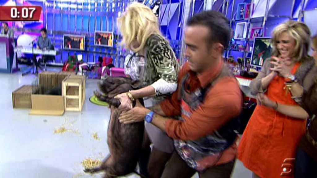 Kiko H. y Chelo se han negado a participar