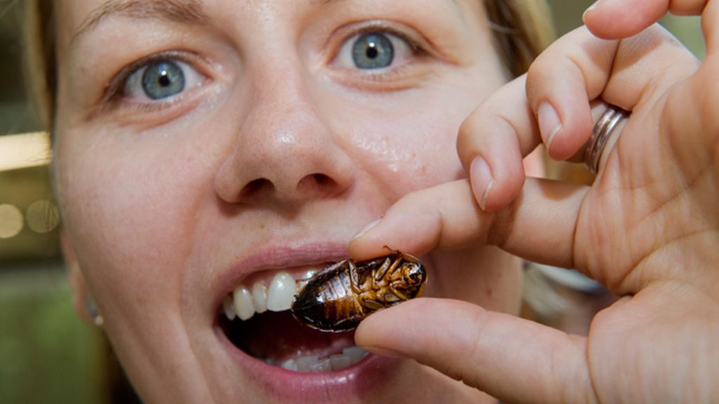 Los más arriesgados pueden degustar numerosos platos