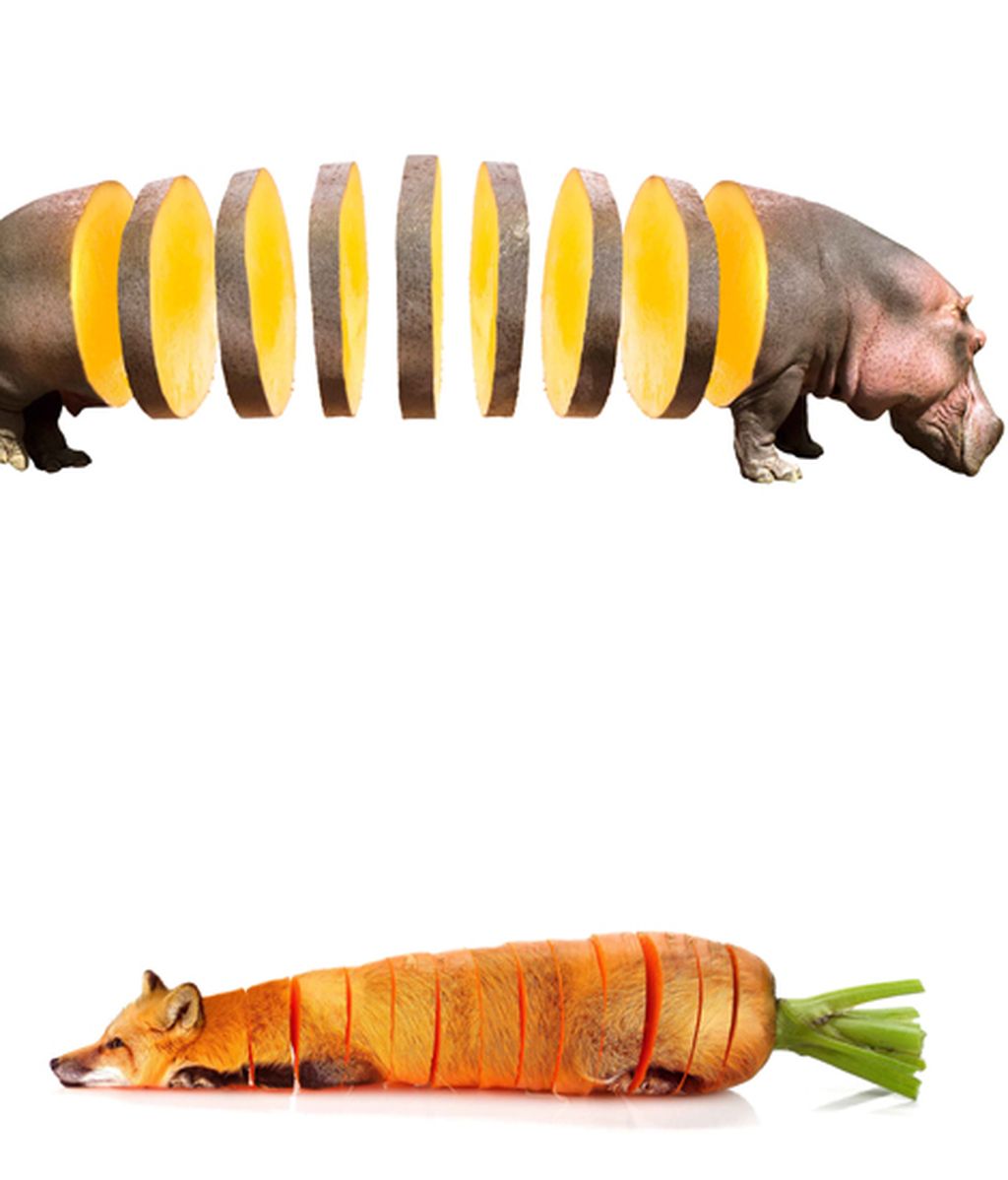 Animales convertidos en frutas y verduras