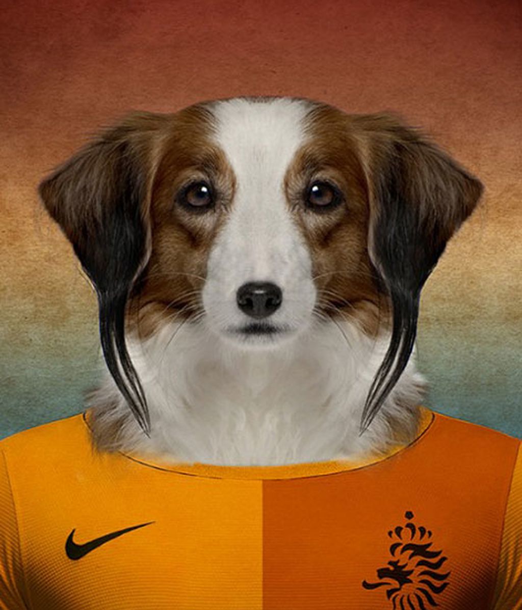 Los perros y el fútbol