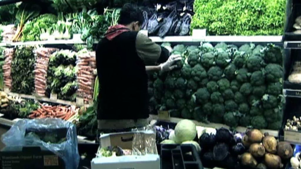 Transgénicos y otros alimentos bajo sospecha