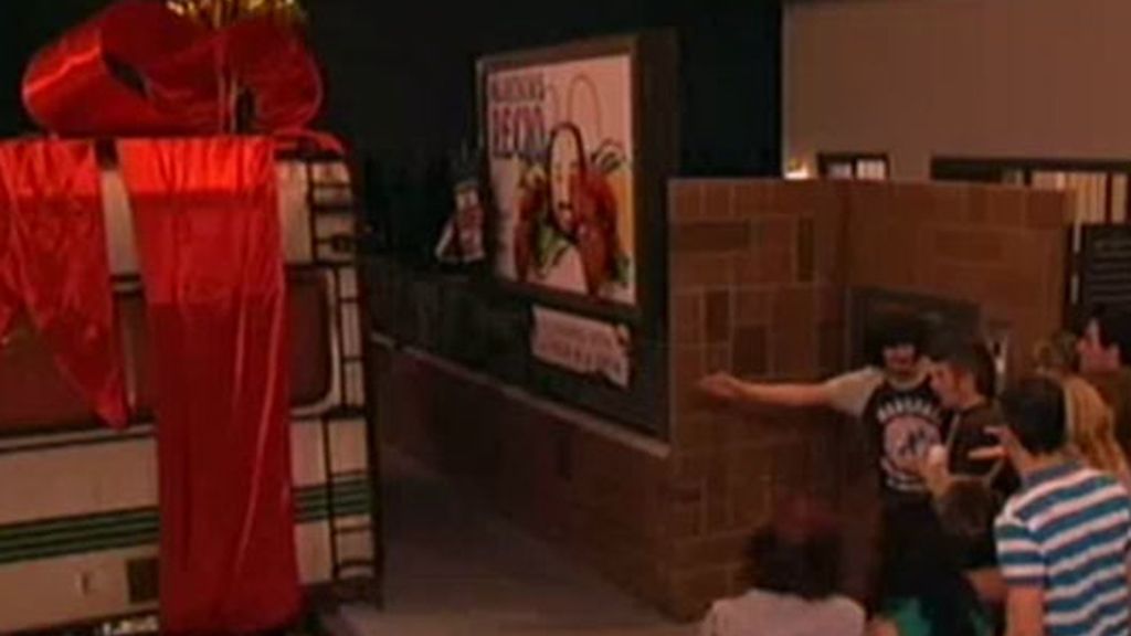 ¡Coque por fin consigue su contrato!