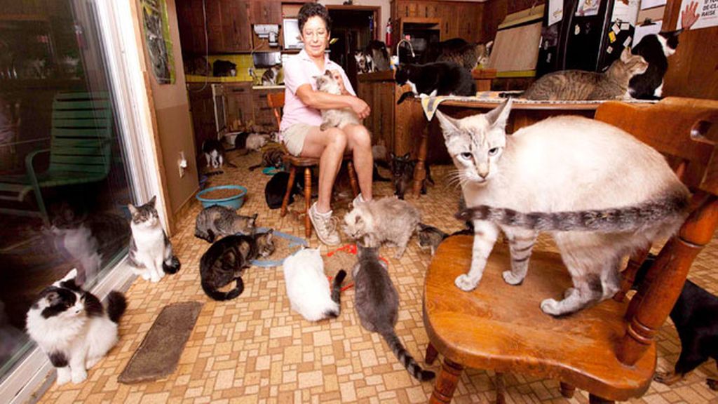'The Lady with 700 Cats'