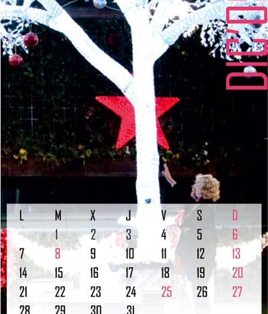 Calendario 'Gran Hermano' 2009
