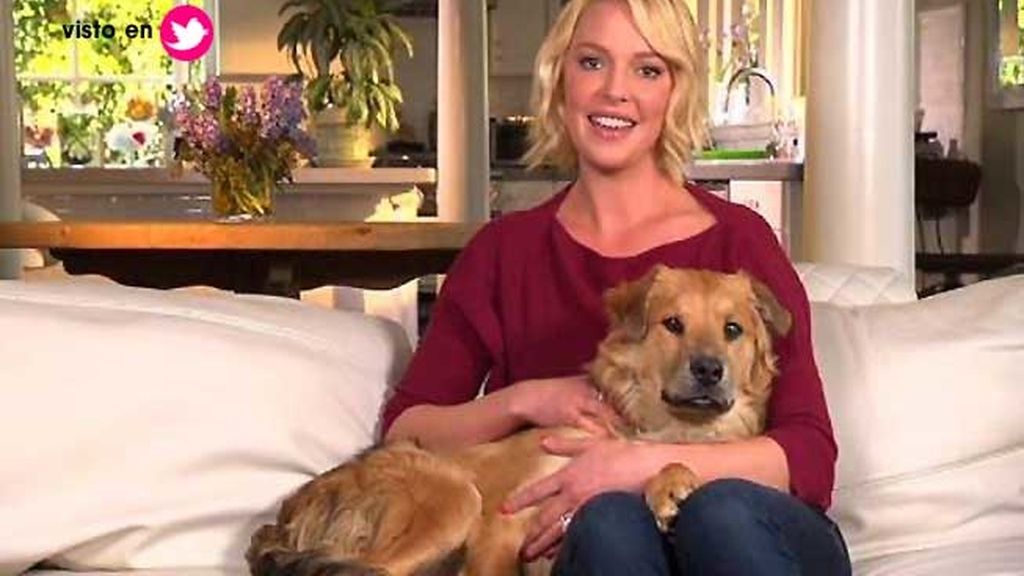 Katherine Heigl y Tamber, viendo la tele