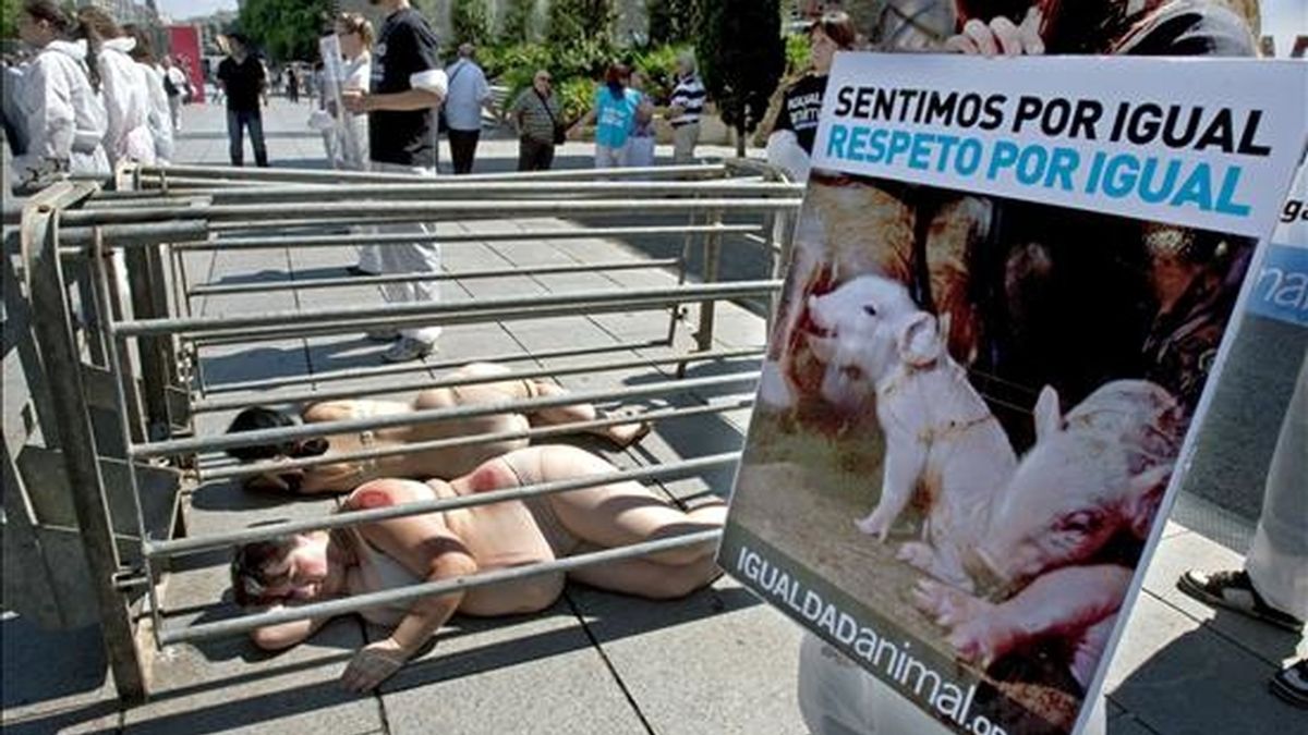 Dos activistas embarazadas de la asociación "Igualdad animal" denuncian en el centro de Barcelona la situación de los animales explotados en las granjas de cerdos. EFE