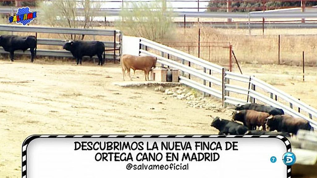 'Sálvame' nos muestra el exterior de la nueva finca que podría comprar el diestro