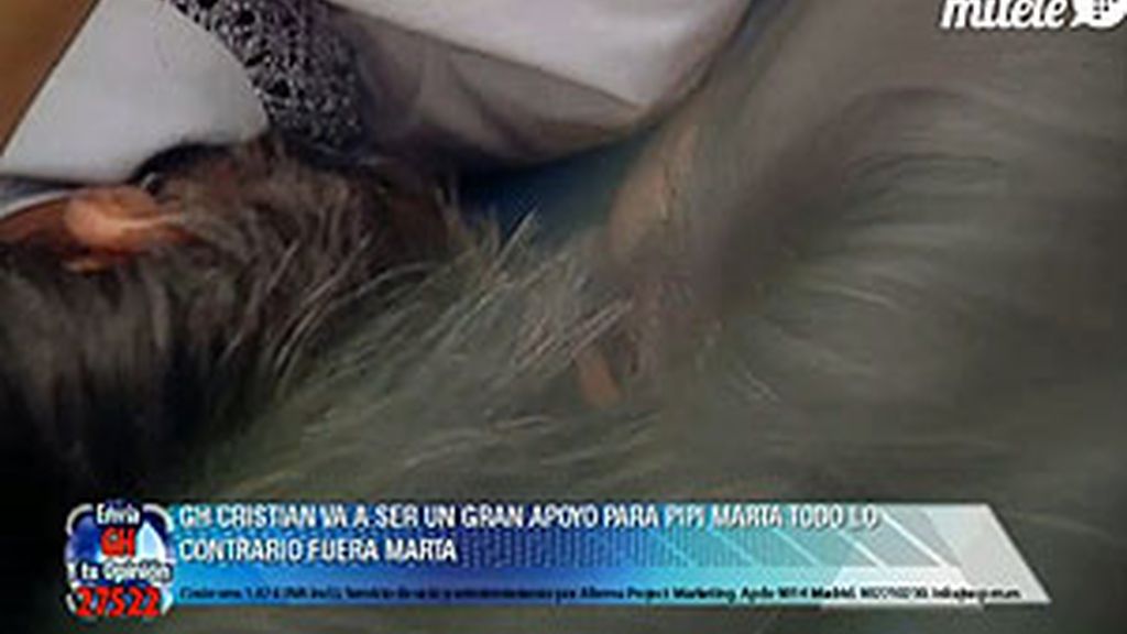 Hugo y María comparten caricias y arrumacos bajo el edredón