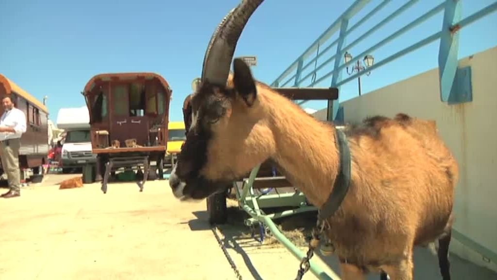 La patrona universal del pueblo gitano