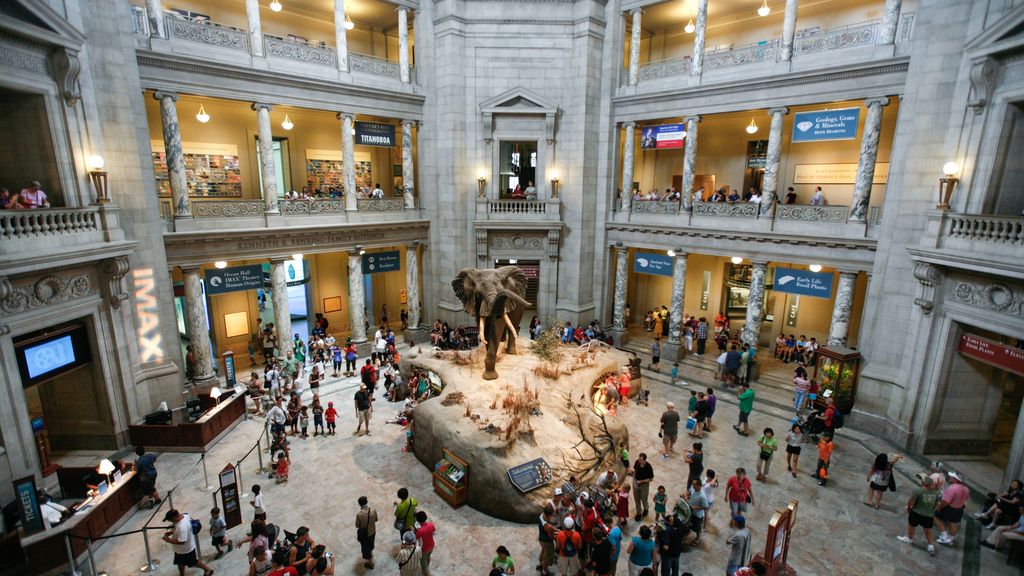 Institute Smithsonian