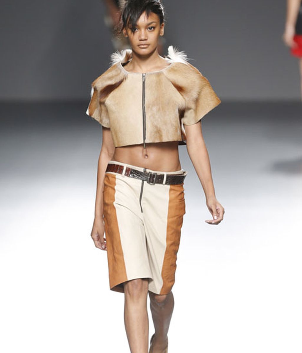 Rojos brillantes y colores de la tierra