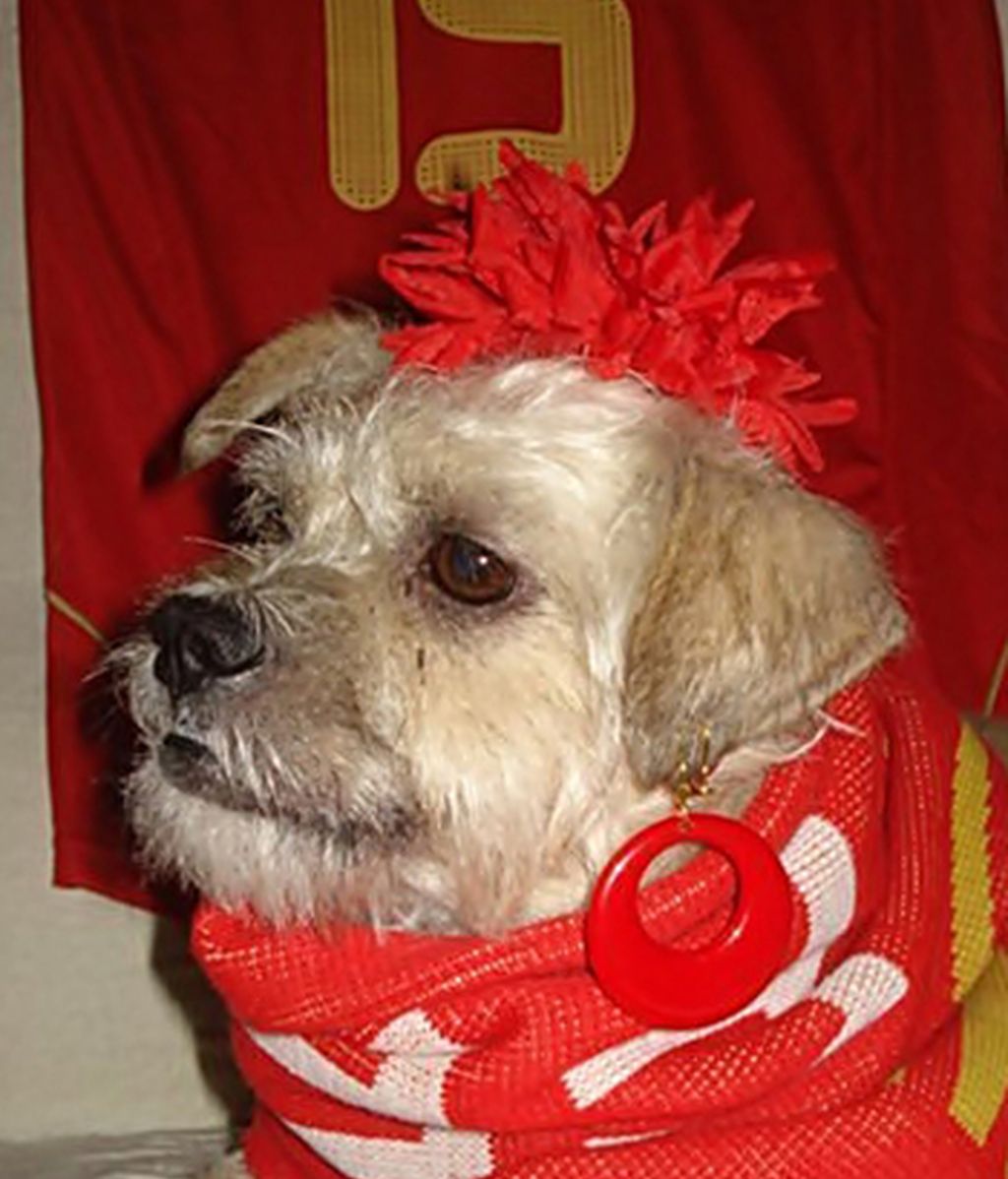 La mascota de Eva Jiménez