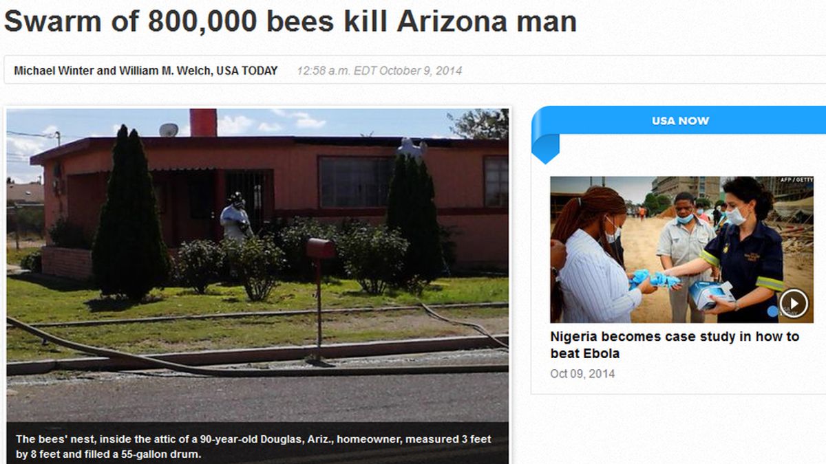 Vivienda de Arizona en la que se ha producido el ataque de la abejas asesinas