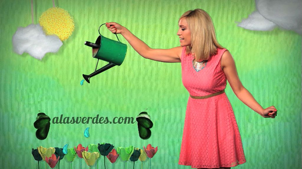 ¡Ellos ya tienen sus alas verdes!