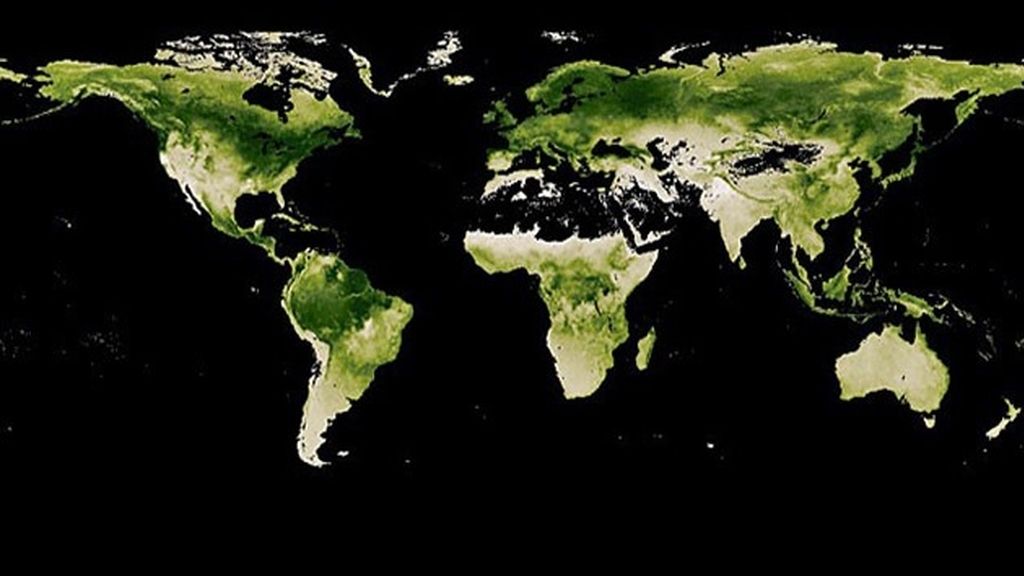 Productividad primaria neta