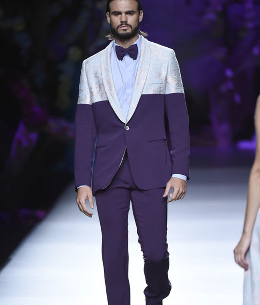 Corales, estrellas y esponjas de mar