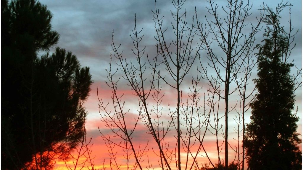 Fotos concurso 'Una imagen, una palabra'