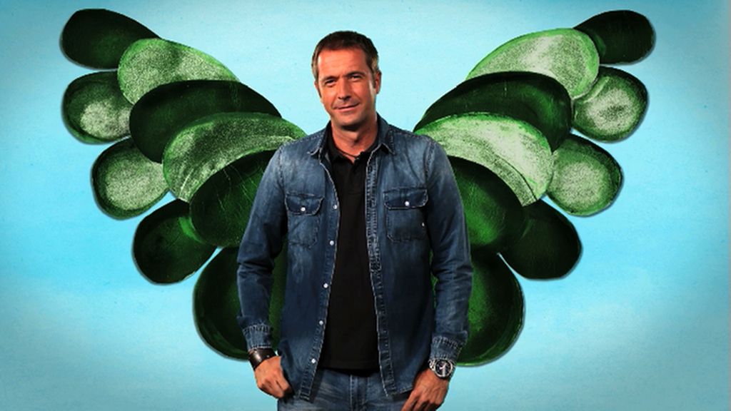 ¡Ellos ya tienen sus alas verdes!