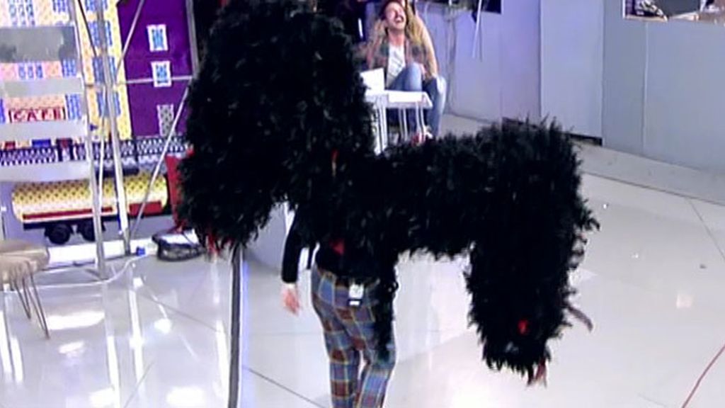 Colaboradora y presentadora, ángeles por un minuto